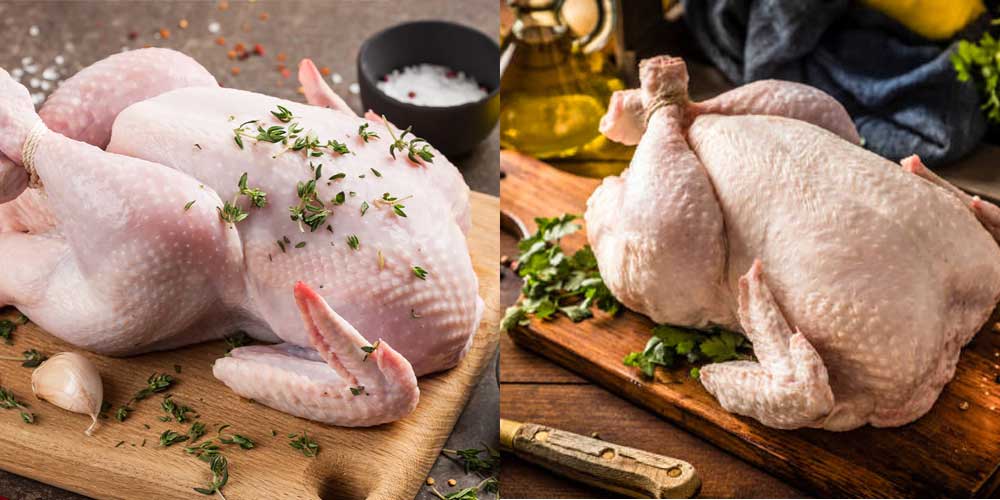 مرغ فروشی خوب در شاهین شهر