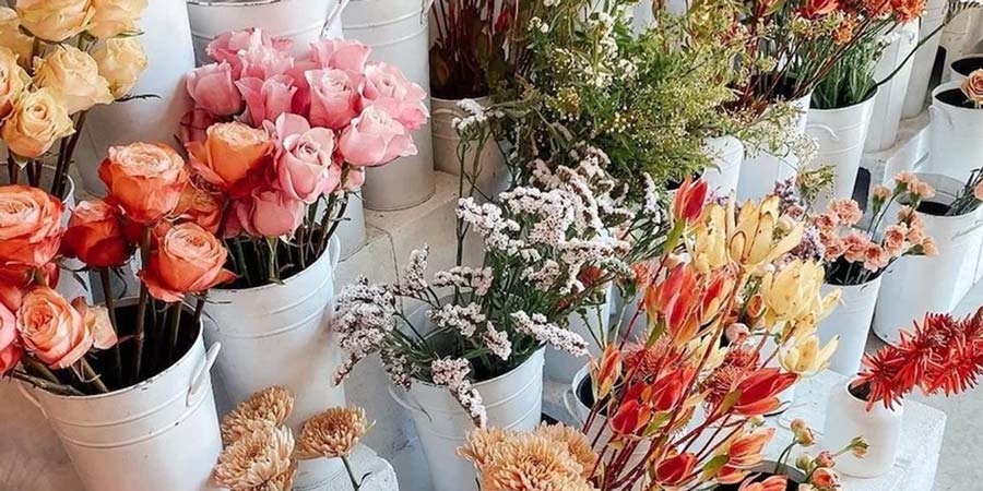 گل فروشی آوا شاهین شهر