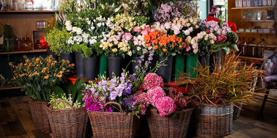 گل فروشی شقایق شاهین شهر