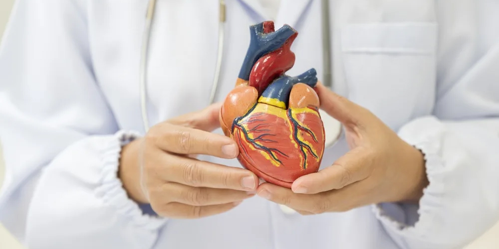 بهترین متخصص قلب و عروق در شاهین شهر + از علائم تا بیماری های شایع خدمات و تشخیص های متخصص قلب و عروق