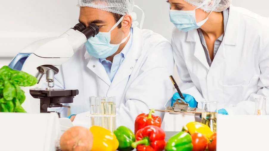 صنایع غذایی در شاهین شهر