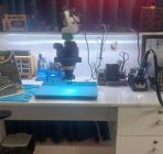 تعمیرات موبایل هخامنش در شاهین شهر