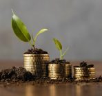 قرض-الحسنه-در-شاهین-شهر