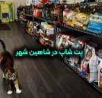 پت شاپ در شاهین شهر
