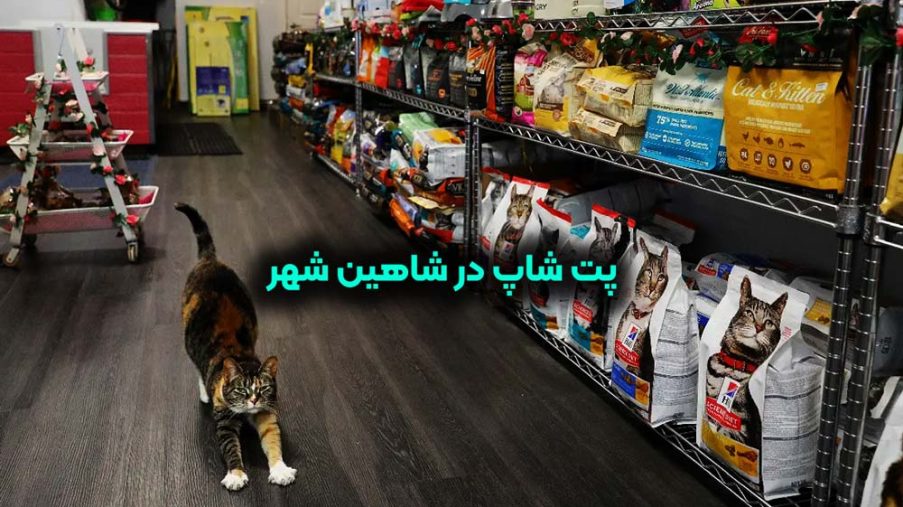 پت شاپ در شاهین شهر